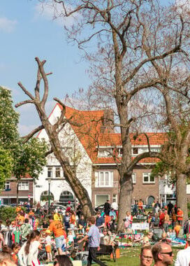 x16LRIMG_2017Koningsdag-22-680x380