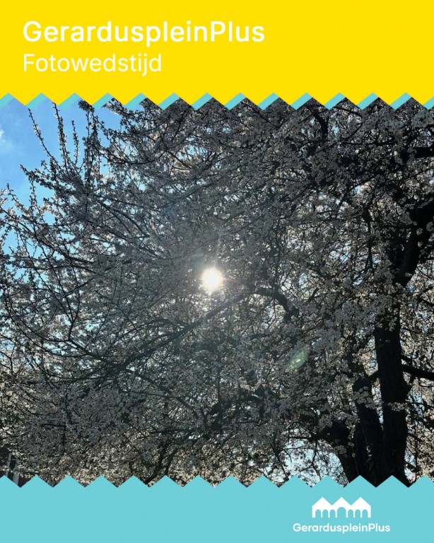 Insta post template 2 (Groot) (Middel)